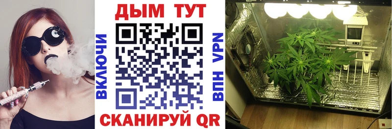 Цена Богородск АМФ A-PVP Меф ГАШ