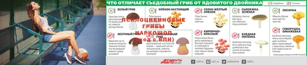 jwh Алексеевка