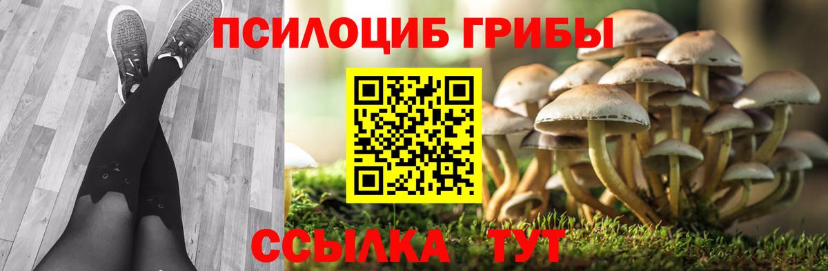 Богородск  Псилоцибиновые грибы прущие грибы  Вход с VPN  Псилоцибиновые грибы MAGIC MUSHROOMS 